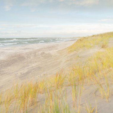 Baltık kıyıları (kum tepeleri) fırtınadan sonra gün batımında. Açık gökyüzü, parlayan bulutlar, rüzgar. Sonbahar manzarası. Doğa, çevre koruma, ekoloji, eko-turizm, yerel seyahat