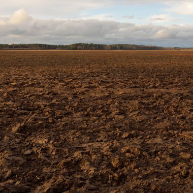Tarım tarlası, toprak dokusu. Tarım ve gıda endüstrisi, alternatif üretim, gübre, sulama, çevresel hasar ve koruma kavramları