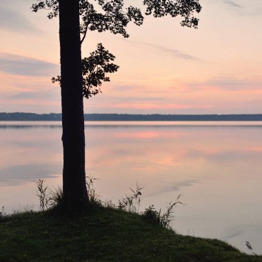 Forest lake at sunset. Soft sunlight, glowing clouds, symmetry reflections in a crystal clear water. Idyllic landscape. Panoramic view. Nature, ecology, ecotourism. Peace and joy concepts