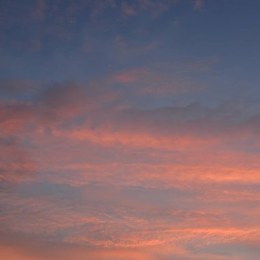 Açık mavi gökyüzü. Pembe ve altın renkli bulutlar. Gün doğumu. Dramatik bulut manzarası. Sanat, meteoroloji, cennet, umut, barış, grafik kaynakları, resimli panoramik manzara