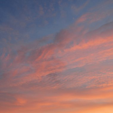 Açık mavi gökyüzü. Pembe ve altın renkli bulutlar. Gün doğumu. Dramatik bulut manzarası. Sanat, meteoroloji, cennet, umut, barış, grafik kaynakları, resimli panoramik manzara