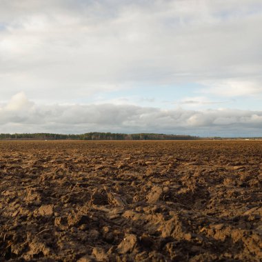 Tarım tarlası, toprak dokusu. Tarım ve gıda endüstrisi, alternatif üretim, gübre, sulama, çevresel hasar ve koruma kavramları