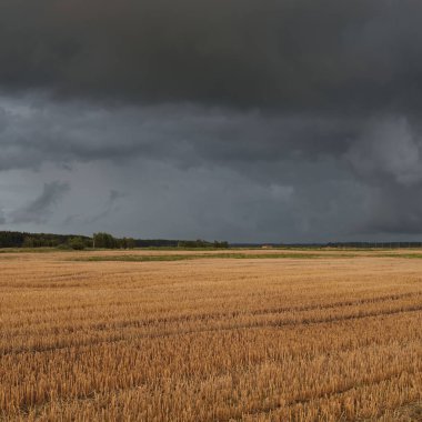 Dramatik gökyüzü, zirai tarlaların ve ormanların üzerindeki kara bulutlar. Kırsal alan. Atmosferik manzara. Sonbaharın başında. Doğa, kararsız hava, ekoloji, çevre, tarım endüstrisi, uzak yerler