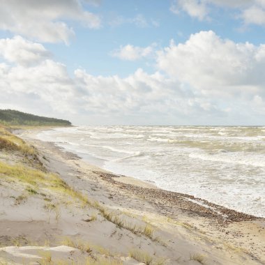 Fırtınadan sonra Baltık kıyıları (kum tepeleri, plaj). Dramatik gökyüzü, parlayan bulutlar. Resimli panoramik manzara. Doğa, çevre, ekoloji, eko-turizm, yürüyüş, keşif kavramları