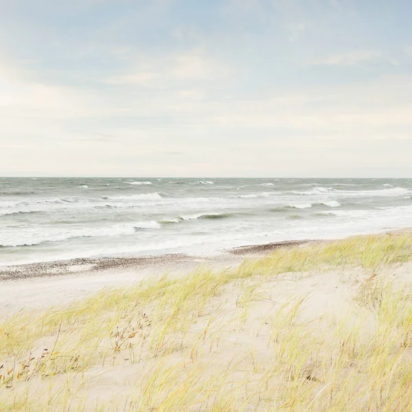 Baltık kıyıları (kum tepeleri) fırtınadan sonra gün batımında. Açık gökyüzü, parlayan bulutlar, rüzgar. Sonbahar manzarası. Doğa, çevre koruma, ekoloji, eko-turizm, yerel seyahat