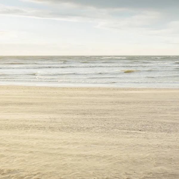 Gün batımında Baltık kıyısı. Açık günbatımı gökyüzü, parlayan bulutlar. Idyllic manzara. Doğa, tatiller, eğlence. Çevre turizmi. Panoramik görünüm