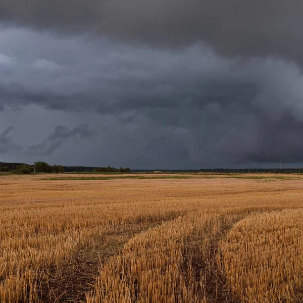 Dramatischer Himmel Dunkle Wolken Über Dem Gepflügten Acker Und Wald — Stockfoto