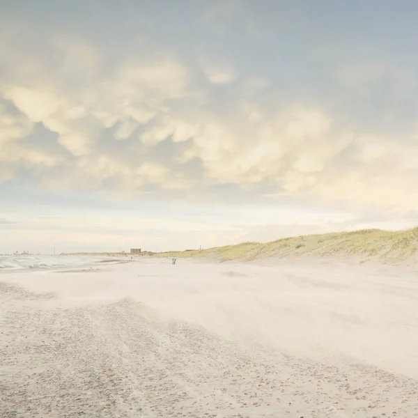 Oostzee Bij Zonsondergang Strand Zandduinen Duingras Heldere Zonsondergang Hemel Gloeiende — Stockfoto