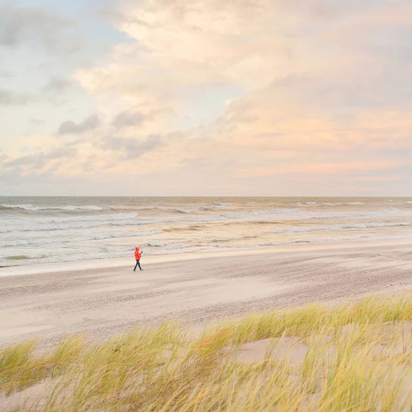 Baltic Sea Shore Sunset Beach Sand Dunes Clear Sunset Sky — 스톡 사진