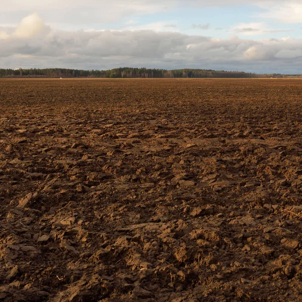 Tarım tarlası, toprak dokusu. Tarım ve gıda endüstrisi, alternatif üretim, gübre, sulama, çevresel hasar ve koruma kavramları