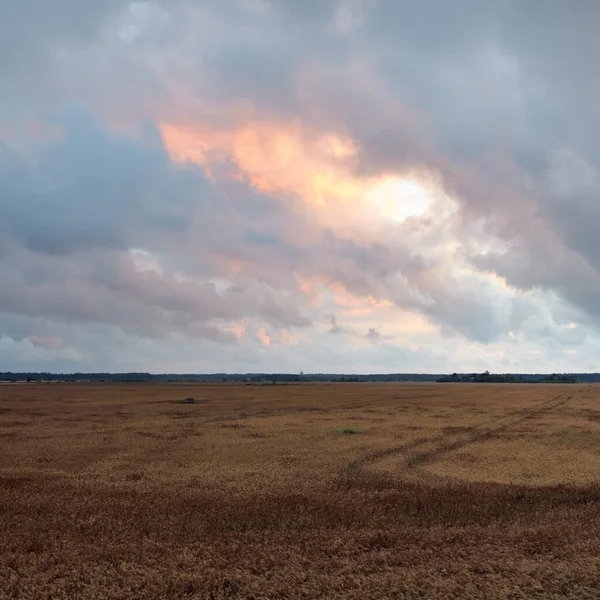 Dramatic Sky Dark Clouds Plowed Agricultural Field Forest Rural Scene — Stock Photo, Image