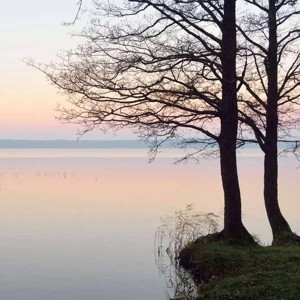 Lago Forestale Fiume All Alba Luce Solare Soffusa Nebbia Riflessi — Foto Stock