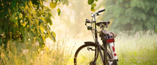 Bicycle Parked Forest Road Sunrise Soft Sunlight Sunbeams Fog Idyllic — Fotografia de Stock