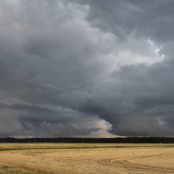 Dramatická Obloha Temné Mraky Nad Oraným Zemědělským Polem Lesem Venkovská — Stock fotografie