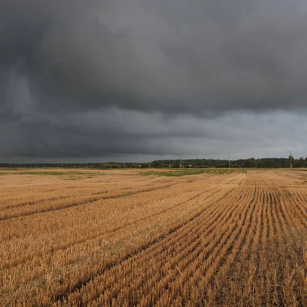 Dramatischer Himmel Dunkle Wolken Über Dem Gepflügten Acker Und Wald lizenzfreie Stockfotos