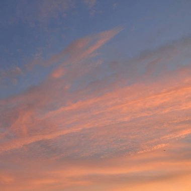 Açık mavi gökyüzü. Pembe ve altın renkli bulutlar. Gün doğumu. Dramatik bulut manzarası. Sanat, meteoroloji, cennet, umut, barış, grafik kaynakları, resimli panoramik manzara