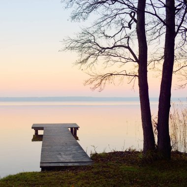 Forest lake (river) at sunrise. Wooden pier (boardwalk), mighty trees. Soft sunlight, mist, reflections on water. Idyllic autumn landscape. Pure nature, ecotourism, hiking, exploring