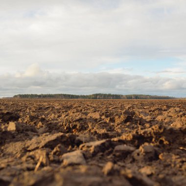 Tarım tarlası, toprak dokusu. Tarım ve gıda endüstrisi, alternatif üretim, gübre, sulama, çevresel hasar ve koruma kavramları