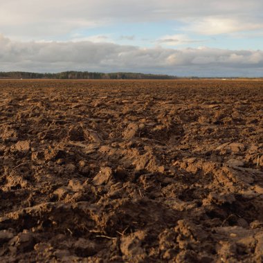Tarım tarlası, toprak dokusu. Tarım ve gıda endüstrisi, alternatif üretim, gübre, sulama, çevresel hasar ve koruma kavramları