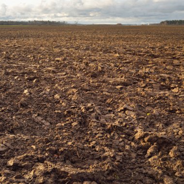 Tarım tarlası, toprak dokusu. Tarım ve gıda endüstrisi, alternatif üretim, gübre, sulama, çevresel hasar ve koruma kavramları