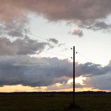Tarlaya sürülmüş tarımın elektrik hattı. Yağmurdan sonra dramatik günbatımı gökyüzü. Manzara kavramı. Enerji, enerji üretimi, ekipman, endüstri, çevresel hasar, ekoloji, arz