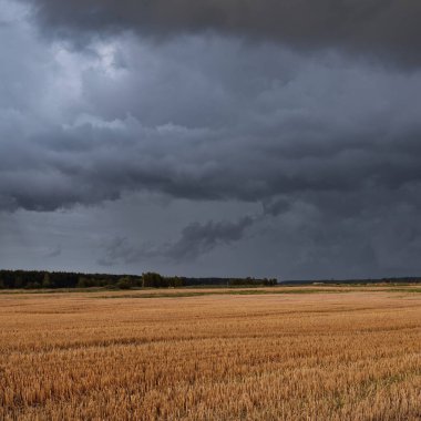 Dramatik gökyüzü, zirai tarlaların ve ormanların üzerindeki kara bulutlar. Kırsal alan. Atmosferik manzara. Sonbaharın başında. Doğa, kararsız hava, ekoloji, çevre, tarım endüstrisi, uzak yerler