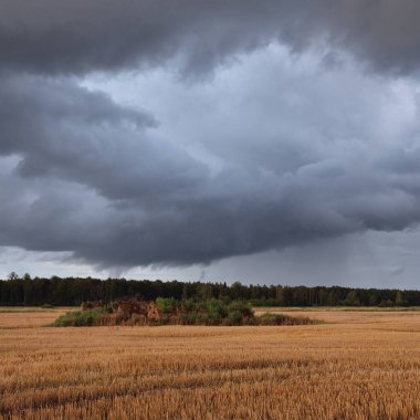 Dramatik gökyüzü, zirai tarlaların ve ormanların üzerindeki kara bulutlar. Kırsal alan. Atmosferik manzara. Sonbaharın başında. Doğa, kararsız hava, ekoloji, çevre, tarım endüstrisi, uzak yerler