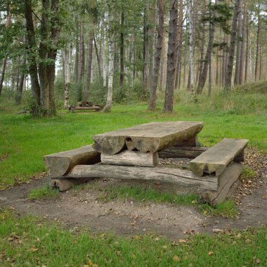 Yeşil ormandaki dinlenme alanı ve dinlenme alanı. Kırsal ahşap bank ve masa. Idyllic manzara, kırsal manzara. Doğa, ekoloji, eko-turizm, yürüyüş, ekoloji beldesi, yerel turizm