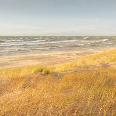 Baltık kıyıları (kum tepeleri) fırtınadan sonra gün batımında. Açık gökyüzü, parlayan bulutlar, rüzgar. Sonbahar manzarası. Doğa, çevre koruma, ekoloji, eko-turizm, yerel seyahat