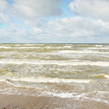 Fırtınadan sonra Baltık kıyıları (kum tepeleri, plaj). Dramatik gökyüzü, parlayan bulutlar. Resimli panoramik manzara. Doğa, çevre, ekoloji, eko-turizm, yürüyüş, keşif kavramları