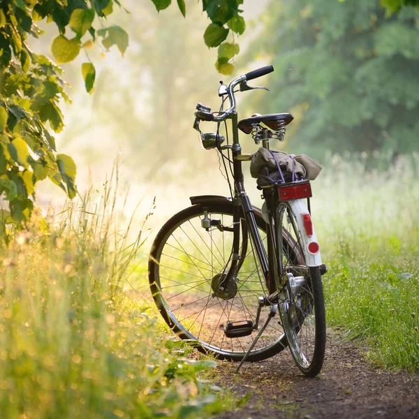 Bicycle Parked Forest Road Sunrise Soft Sunlight Sunbeams Fog Idyllic — Fotografia de Stock