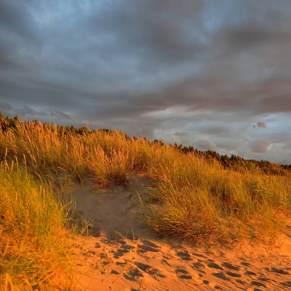 Dramatic Sunset Sky Storm Clouds Baltic Sea Shore Dune Grass — Fotografia de Stock