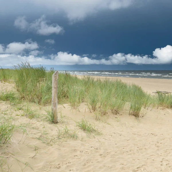 Baltic Sea Shore Sunny Day Beach Sand Dunes Dramatic Sky — Foto de Stock