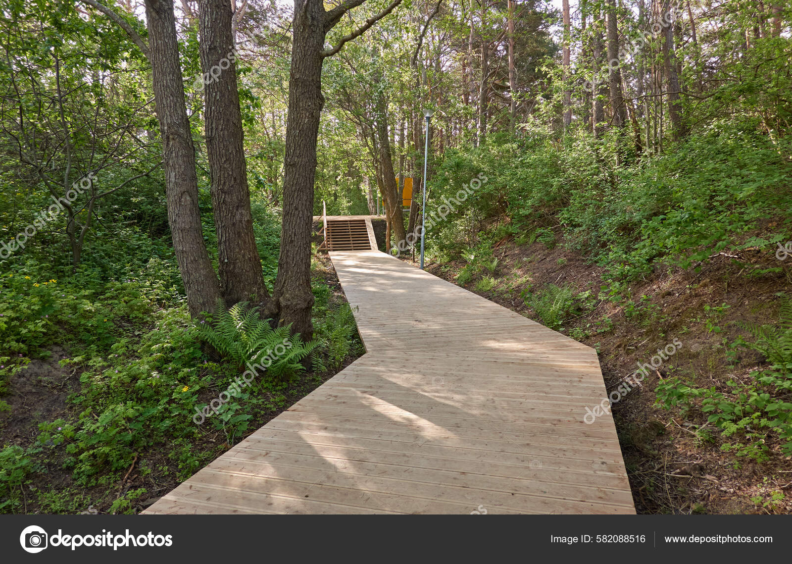 Caminho Corda Madeira Moderno Calçadão Através Das Árvores Caducas Verdes —  Foto © alex.stemmer #582088516, image size:1600x1139