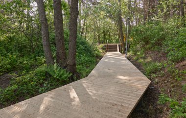 Orman parkındaki yeşil yaprak döken ağaçların arasından geçen modern ahşap dolambaçlı patika. Doğa, ekoloji, çevre koruma, eko-turizm, yürüyüş, eğlence, bisiklet, kuzey yürüyüşü