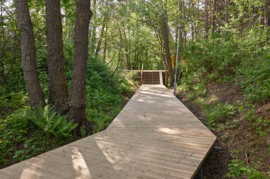 Orman parkındaki yeşil yaprak döken ağaçların arasından geçen modern ahşap dolambaçlı patika. Doğa, ekoloji, çevre koruma, eko-turizm, yürüyüş, eğlence, bisiklet, kuzey yürüyüşü