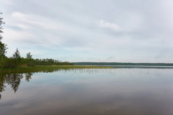 Île Dans Lac Forestier Rivière Par Une Journée Ensoleillée Réflexions — Photo
