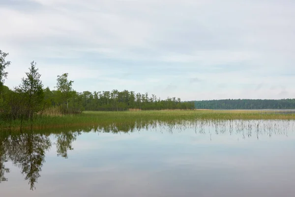 Île Dans Lac Forestier Rivière Par Une Journée Ensoleillée Réflexions — Photo