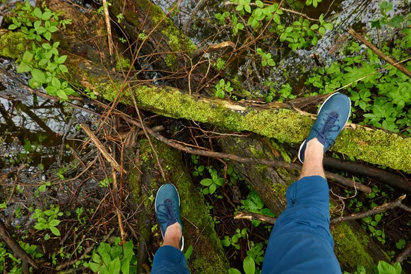 Man standing on tree log in a forest park. Blue jeans and trekking boots. Green plants, moss, fern. Spring, early summer. Nature, tourism, hiking, nordic walking, healthy lifestyle