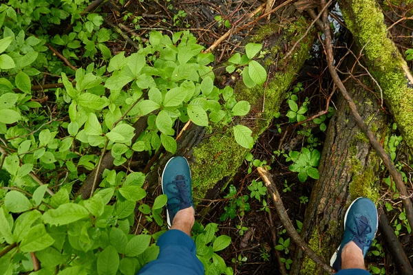 Man standing on land in a forest park. Blue jeans and trekking boots. River. Green plants, moss, fern. Spring, early summer. Nature, tourism, hiking, nordic walking, healthy lifestyle