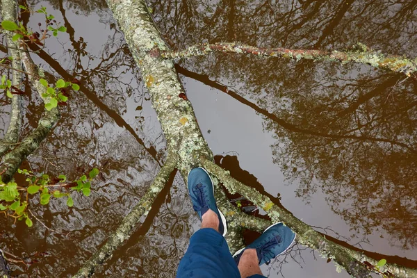Человек Стоящий Дереве Лесном Парке Синие Джинсы Треккинговые Ботинки Ривер Стоковая Картинка