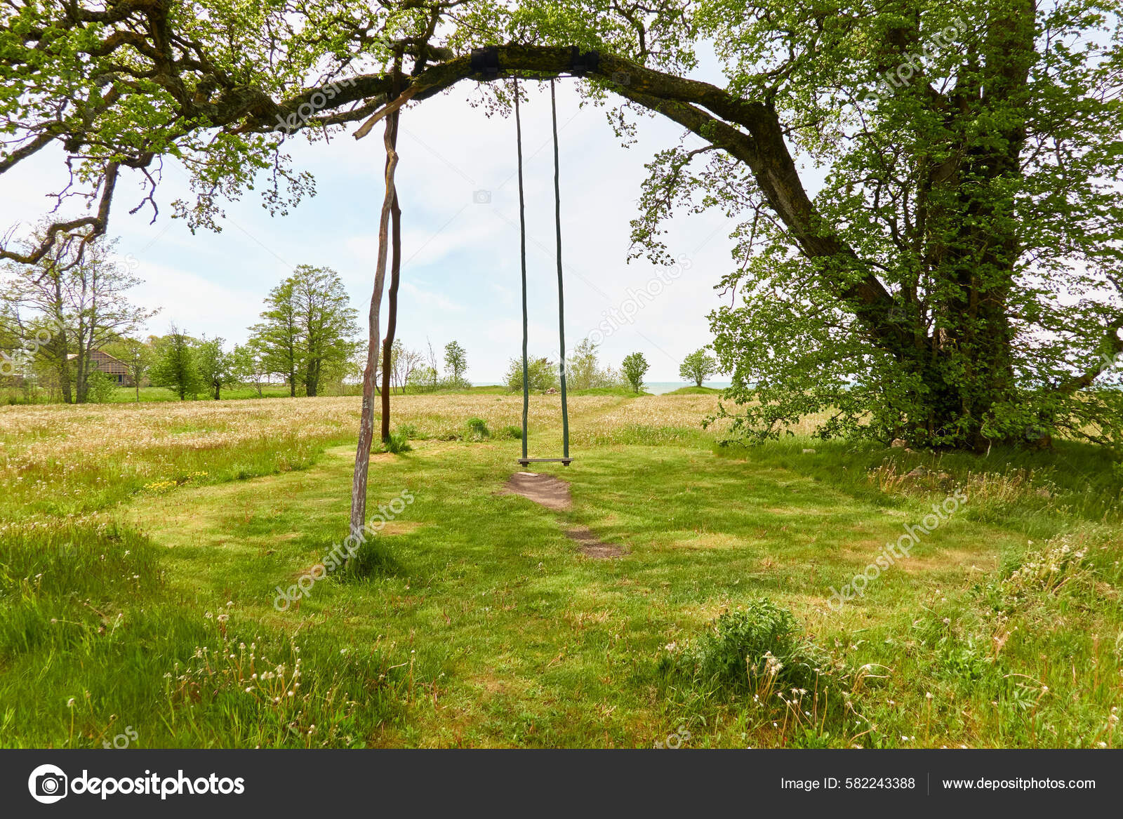 森林公園内の強力な落葉樹 パスウェイ 手作りの木製のスイング クリア青空 夏の風景 生態学 エコツーリズム さまよう欲望のテーマ — ストック写真 ©  alex.stemmer #582243388, image size:1600x1167