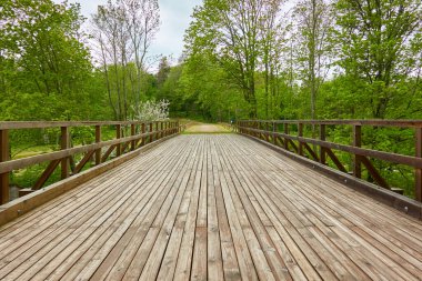 Modern ahşap köprü (tahta köprü, yürüyüş yolu) bir orman parkında nehir boyunca. İlkbahar, yazın başı. Doğa, temiz hava, eko turizm, yürüyüş, kuzey yürüyüşü, eğlence, spor, sağlıklı yaşam tarzı konsepti