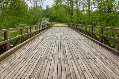 Modern ahşap köprü (tahta köprü, yürüyüş yolu) bir orman parkında nehir boyunca. İlkbahar, yazın başı. Doğa, temiz hava, eko turizm, yürüyüş, kuzey yürüyüşü, eğlence, spor, sağlıklı yaşam tarzı konsepti