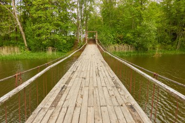 Yeşil bir orman parkında nehir. Modern ahşap köprü (tahta köprü). - Letonya. Ağaçlar, bitkiler. İlkbahar, yazın başı. Saf doğa, ekoloji, temiz hava, eko turizm, yürüyüş, tatiller