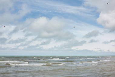 Güneşli bir yaz gününde Baltık Denizi 'nin panoramik manzarası. Yumuşak güneş ışığı. Idyllic deniz manzarası. Doğa, çevre, tatiller, eko turizm, keşif kavramları
