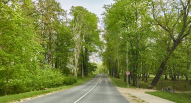 Kırsal alan ve orman boyunca (yeni asfalt yol) boş bir otoyol. Turizm, yol gezisi, özgürlük, tatiller, lojistik, uzak yerler kavramları