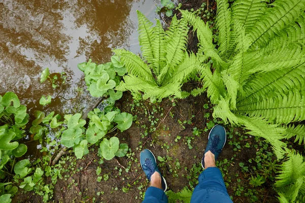 Man standing on land in a forest park. Blue jeans and trekking boots. River. Green plants, moss, fern. Spring, early summer. Nature, tourism, hiking, nordic walking, healthy lifestyle