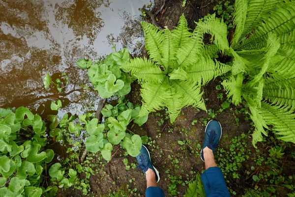 Man standing on land in a forest park. Blue jeans and trekking boots. River. Green plants, moss, fern. Spring, early summer. Nature, tourism, hiking, nordic walking, healthy lifestyle