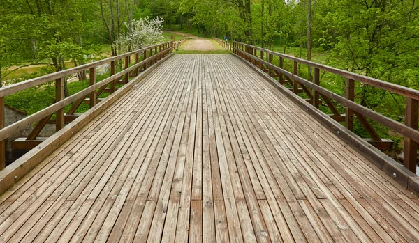 Современный Деревянный Мост Набережная Дорожка Через Реку Лесном Парке Весна — стоковое фото
